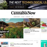 cannabis now magazine