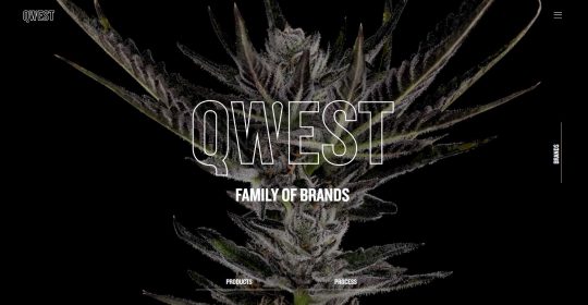 Qwest Cannabis