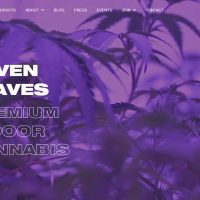 seven leaves website review